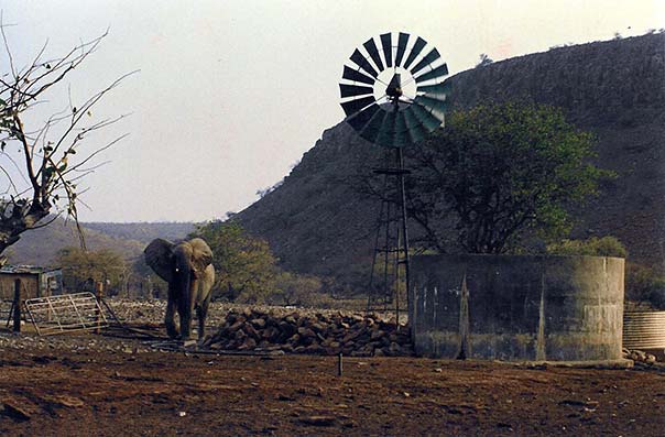 Water supply for Elephants